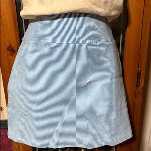 Blue Striped Women's Skort